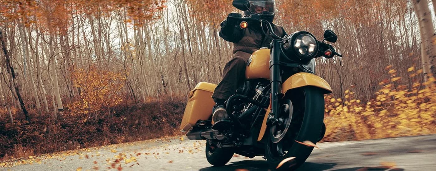 A person is shown riding a yellow 2022 Harley-Davidson Road King Special.
