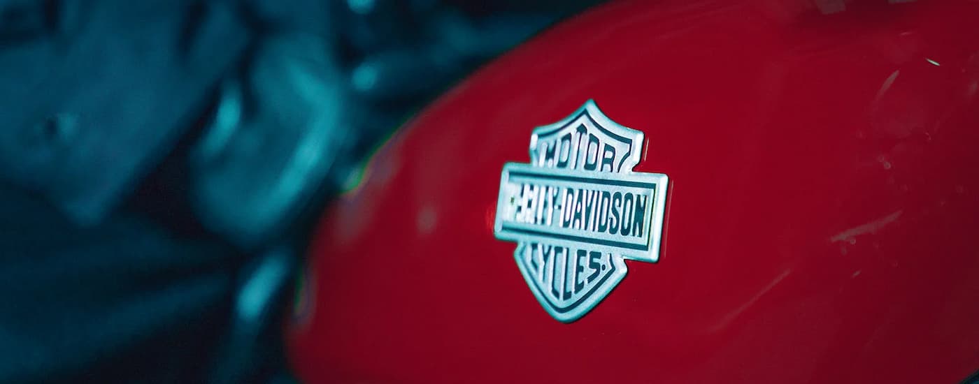 A close up of the Harley-Davidson logo is shown on a 2023 Harley-Davidson Nightster at a …